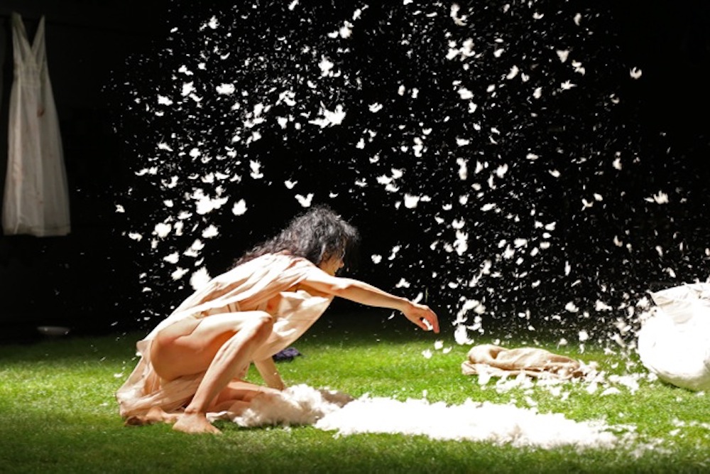 Orlando  - Claudia Meyer - Tanztheater Erfurt - Bild